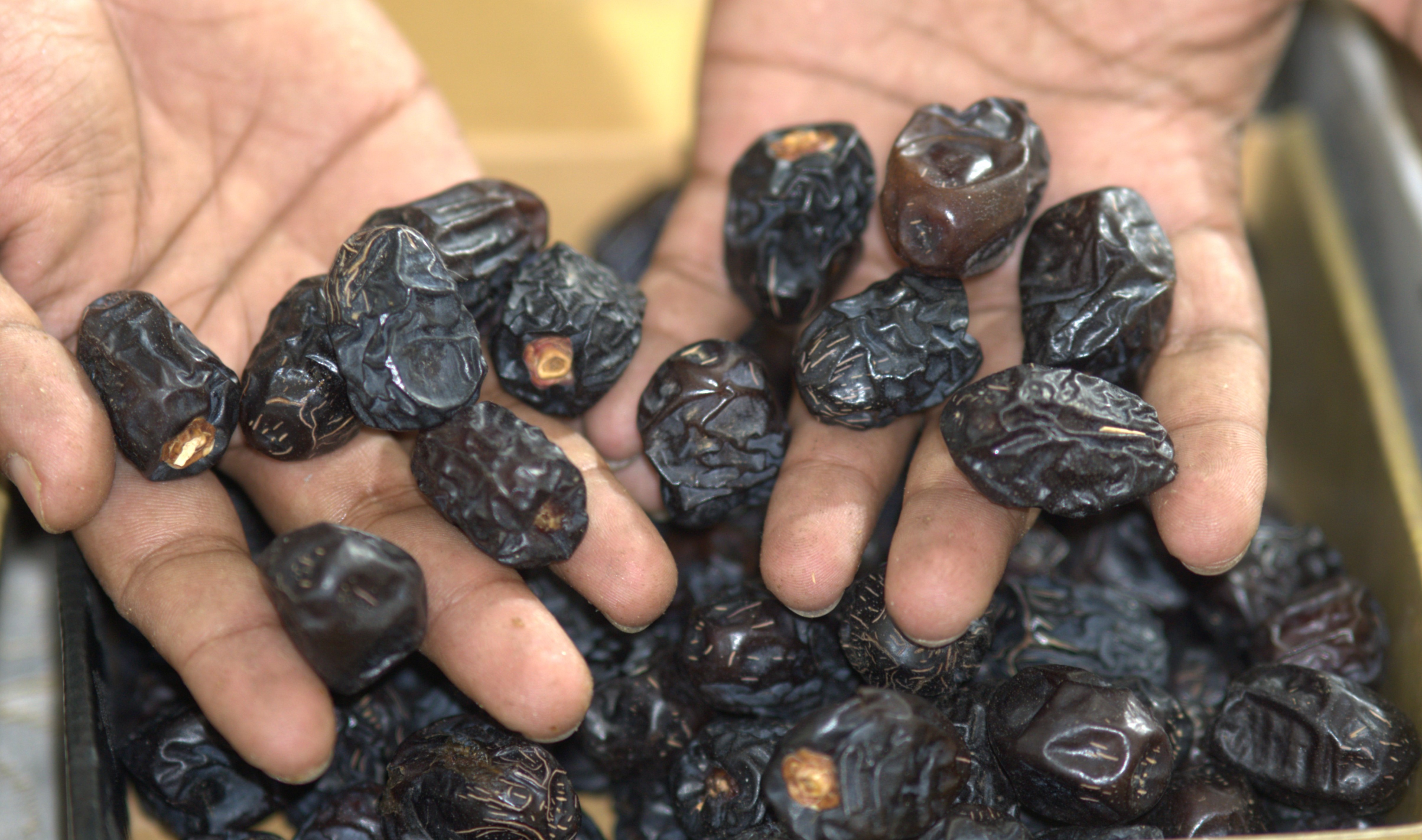 আজওয়া খেজুর (Ajwa Dates)
