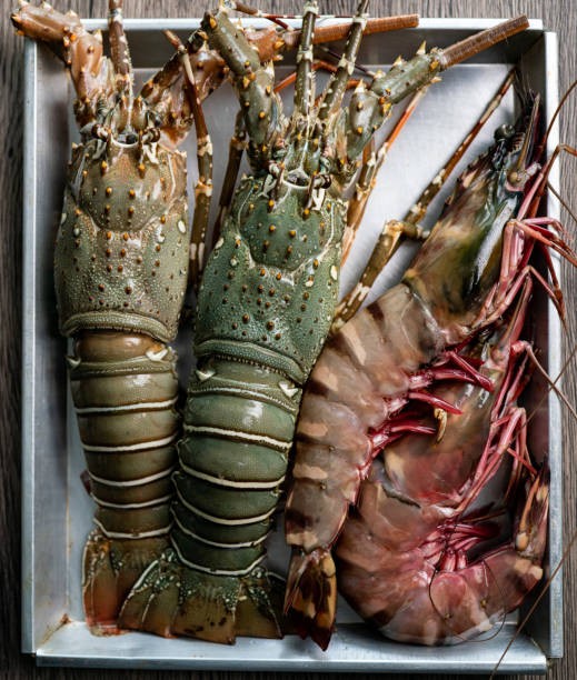 Sea Lobster Whole (সামুদ্রিক লবস্টার)