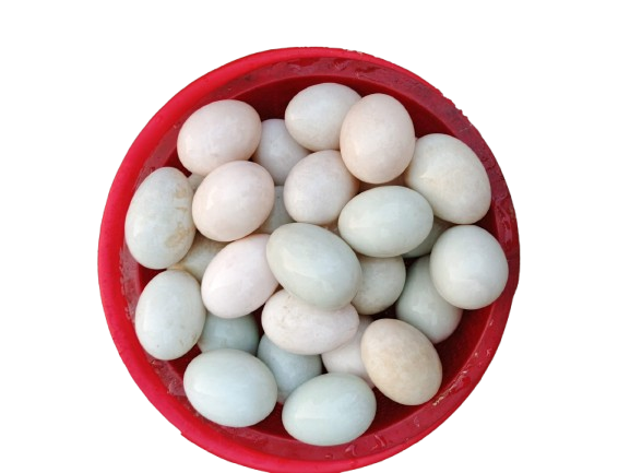 দেশি হাঁসের ডিম