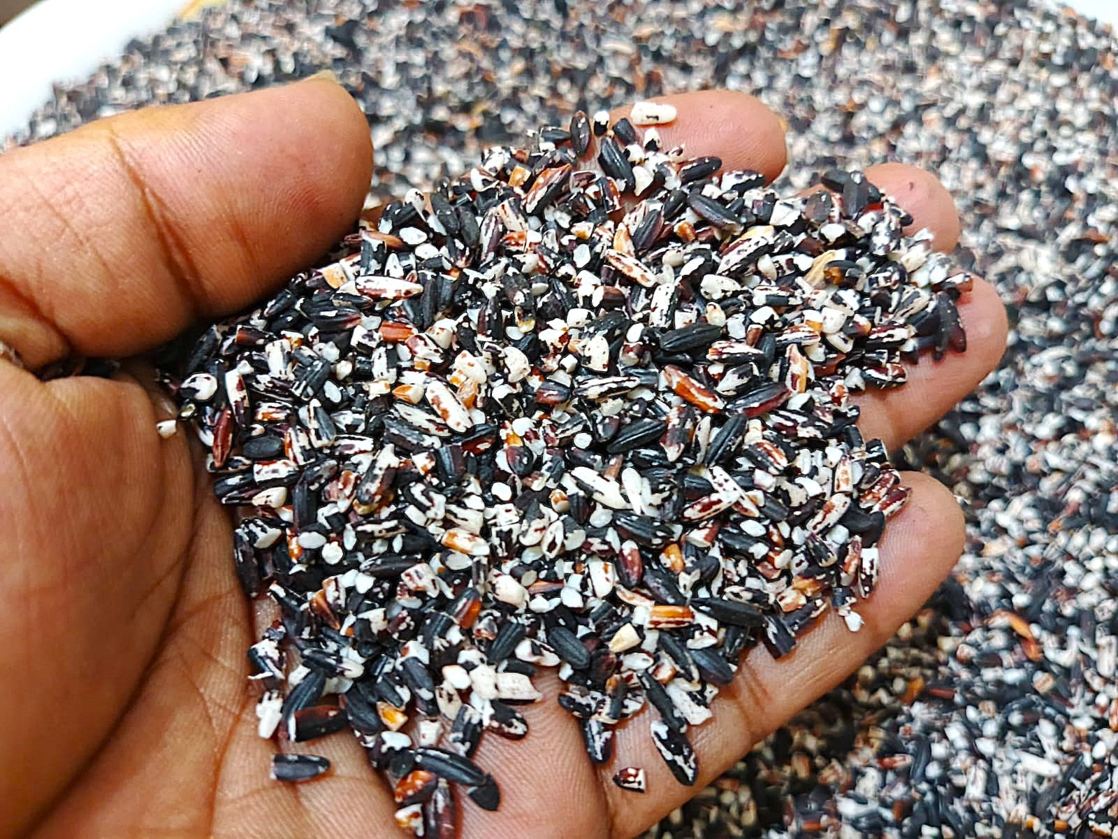 পাহাড়ি জুমের চাল