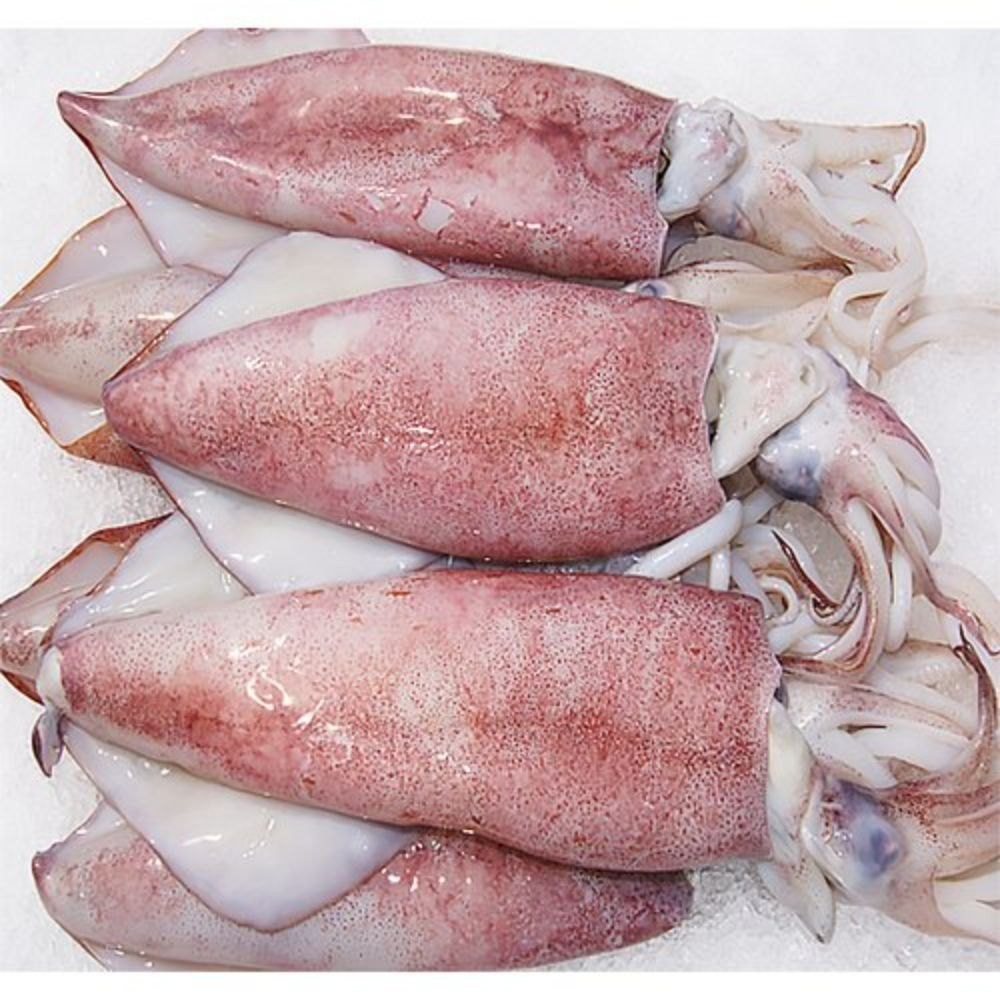 Squid whole